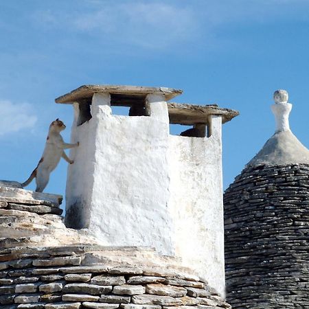 B&B Corso Trieste E Trento Alberobello Exteriör bild