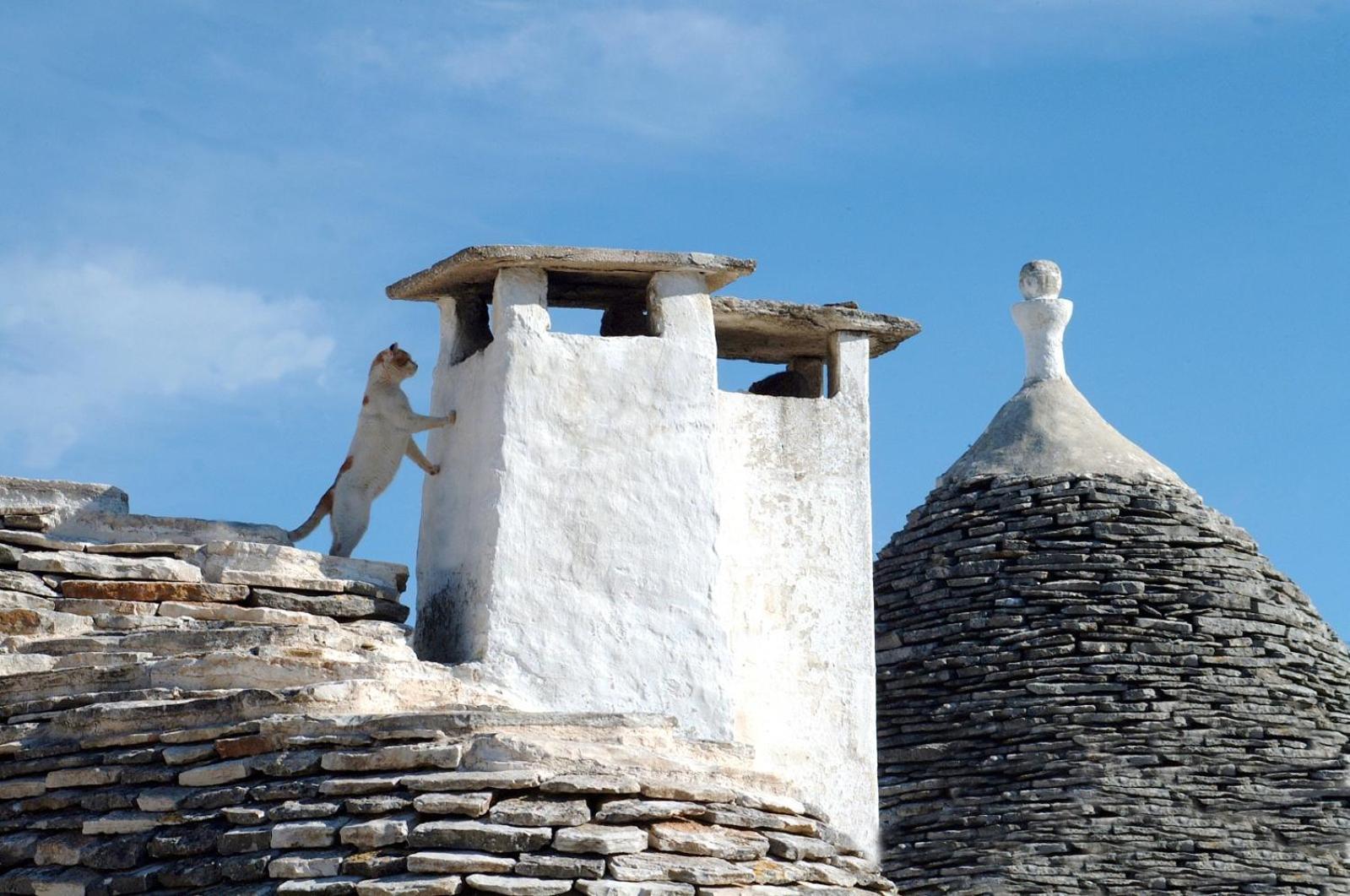 B&B Corso Trieste E Trento Alberobello Exteriör bild